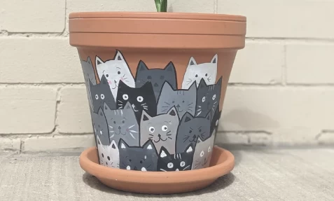Art Class: Create a Cat Grass Garden