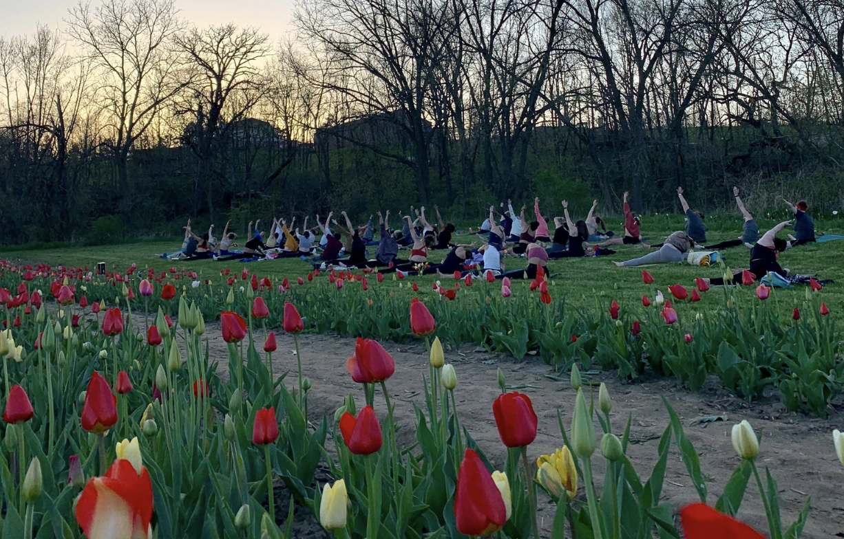 Sunset Yoga In The Flower Field At Wilson’s Orchard & Farm