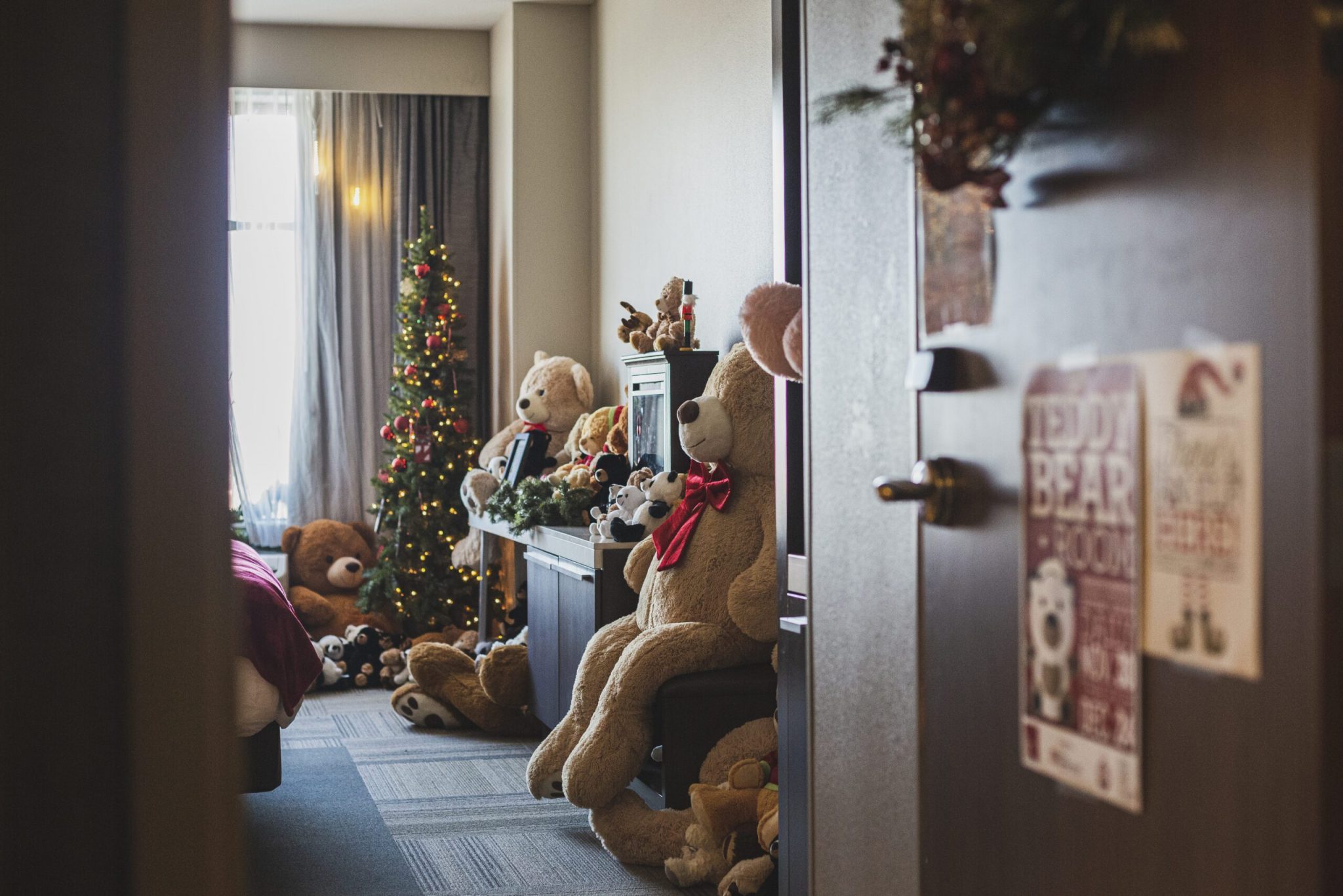 Teddy Bear Room at the Hilton Garden Inn Think Iowa City