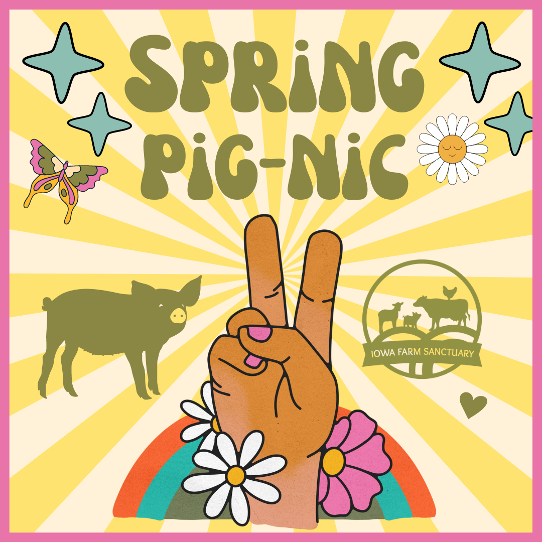 Iowa Farm Sanctuary Spring Pig-Nic