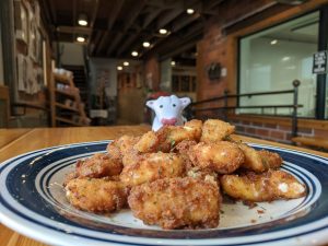 Fried cheese curds from Kalona Creamery in Kalona, Iowa